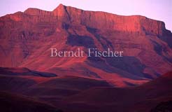 Drakensberge - Zum Vergroessern klicken!