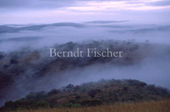 NP Hluhluwe Bergketten Nebel - Zum Vergroessern klicken!