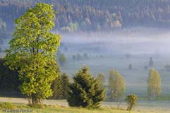 Sumava - Zum Vergroessern klicken!