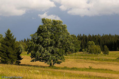 Nationalpark Sumava - Zum Vergroessern klicken!