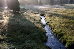 Nationalpark Sumava  - Zum Vergroessern klicken!