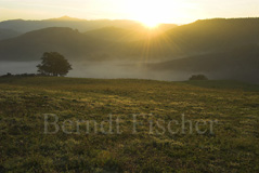 Apenninen Nebelmorgen - Zum Vergroessern klicken!