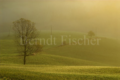 Apenninen Nebelmorgen - Zum Vergroessern klicken!