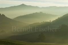 Apenninen Nebelmorgen  - Zum Vergroessern klicken!