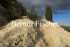 Toskana Val d`Orcia - Zum Vergroessern klicken!