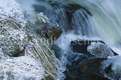 Triberger Wasserfall - Zum Vergroessern klicken!