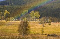 Sumava - Zum Vergroessern klicken!