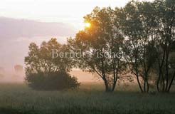 ungarische Puta Sonnenaufgang - Zum Vergroessern klicken!