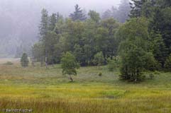 Vogesen - Zum Vergroessern klicken!