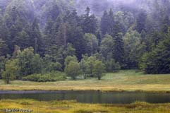 Vogesen - Zum Vergroessern klicken!