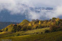Vogesen - Zum Vergroessern klicken!