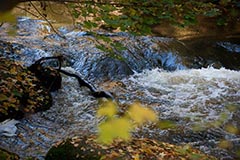 Waldnaab - Zum Vergroessern klicken!