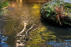 Waldnaab - Zum Vergroessern klicken!