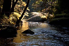 Waldnaab - Zum Vergroessern klicken!