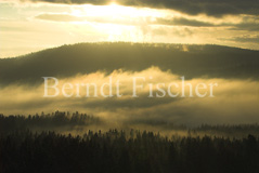 Winterwald Nebelwolken Sonnenstrahlen - Zum Vergroessern klicken!