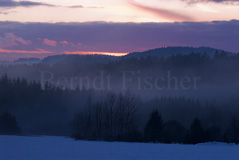 Bayerischer Wald  - Zum Vergroessern klicken!