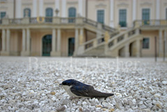 Schlass Eszterhazy - Zum Vergroessern klicken!
