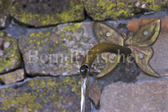 Brunnen Wasserhahn - Zum Vergroessern klicken!
