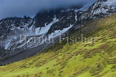 Col du Lautaret Ecrins Nationalpark  - Zum Vergroessern klicken!