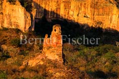 Trockenwald Cerrado Sandsteinfelsen  - Zum Vergroessern klicken!